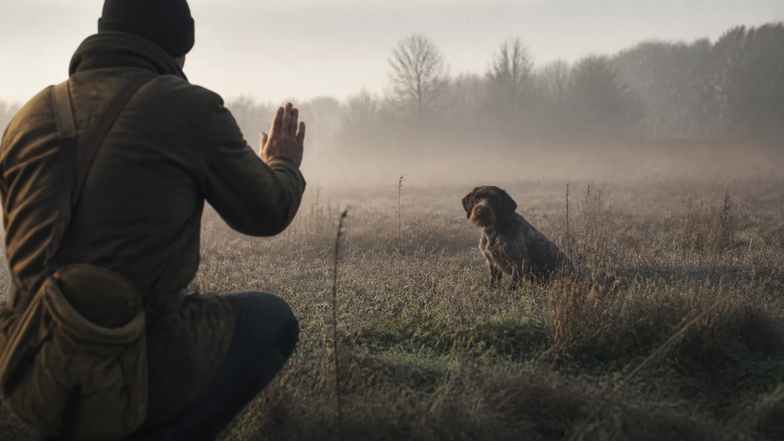 comment dresser un chien de chasse