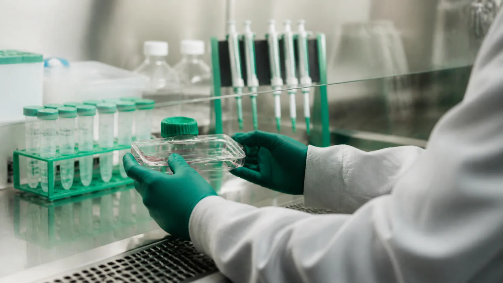 découvrez ce qu'est la thérapie cellulaire, une approche innovante en médecine régénérative. cette définition vous éclaire sur les techniques, les applications cliniques et les bénéfices potentiels de cette thérapie révolutionnaire pour traiter diverses maladies.