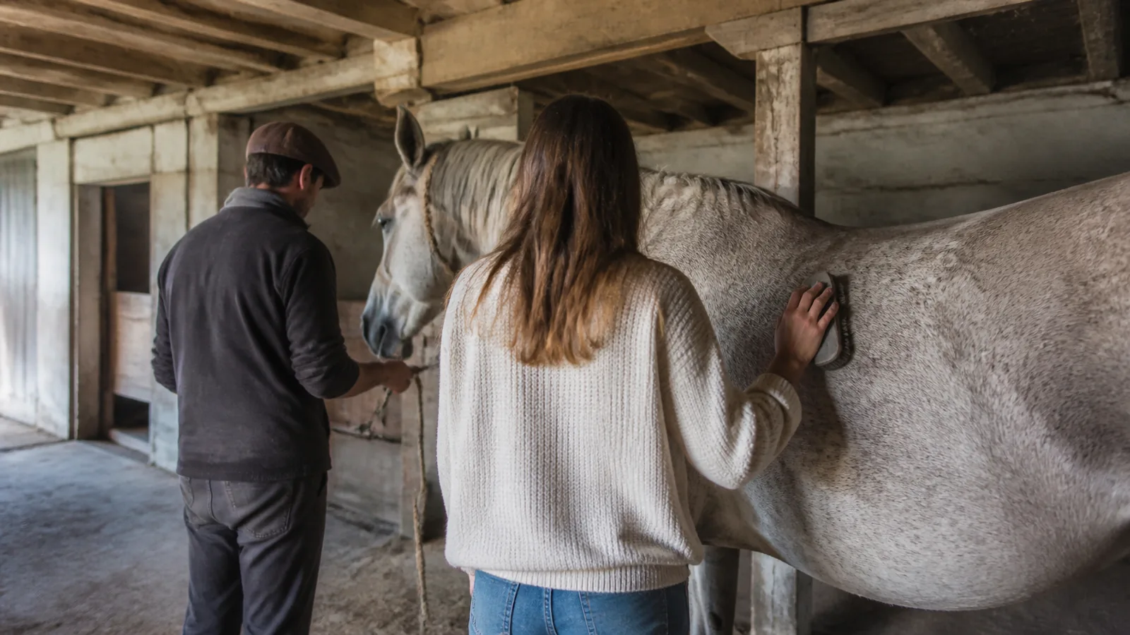 découvrez le tourisme équin, une forme de voyage qui allie la passion des chevaux à l'exploration de paysages magnifiques. apprenez ce que signifie cette activité, ses avantages et comment elle permet de vivre des expériences uniques en harmonie avec la nature.