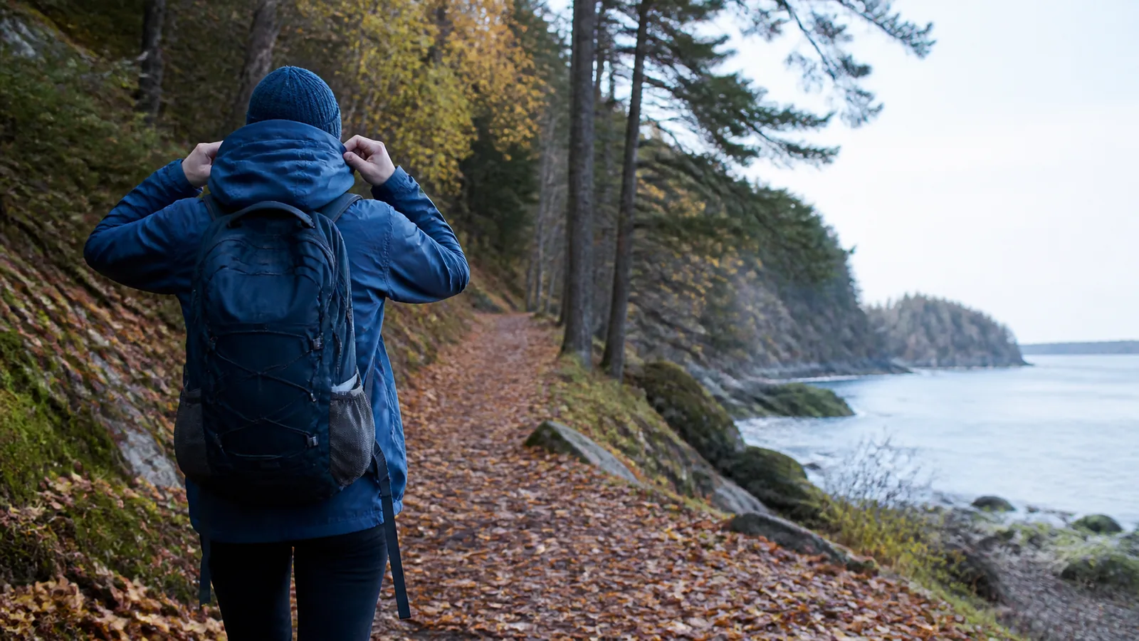 découvrez le tourisme automnal : définition, activités et expériences uniques à vivre lors de la belle saison des feuilles dorées. profitez des paysages captivants et des attractions saisonnières pour un séjour inoubliable.