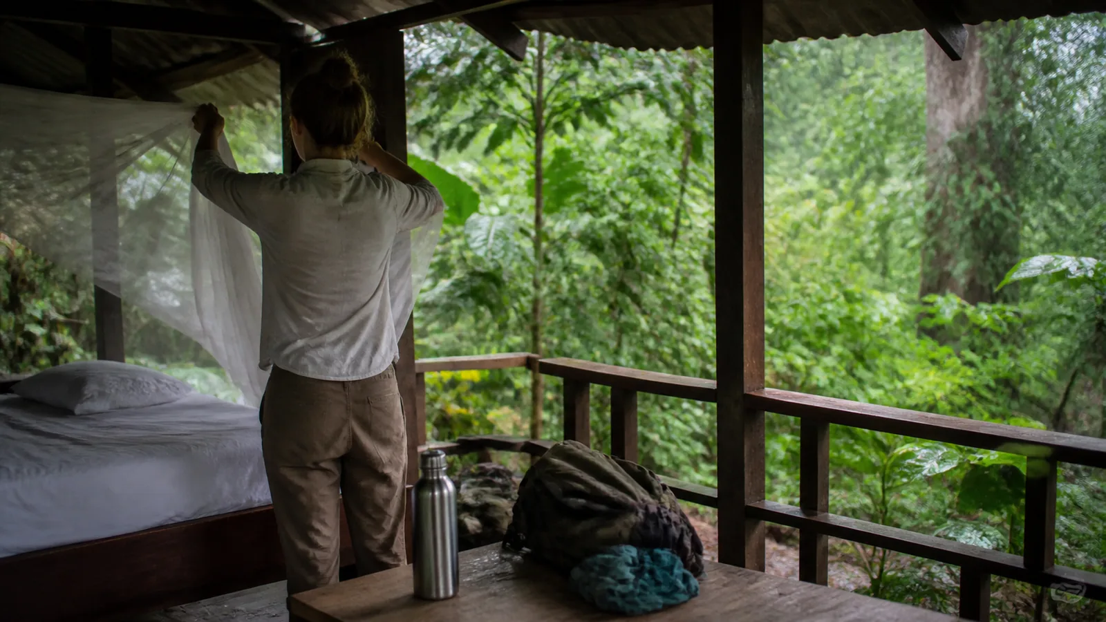 découvrez le concept du tourisme équatorial, ses caractéristiques et son impact sur les destinations situées autour de l'équateur. apprenez comment cette forme de tourisme offre des expériences uniques tout en préservant la biodiversité et la culture locale.