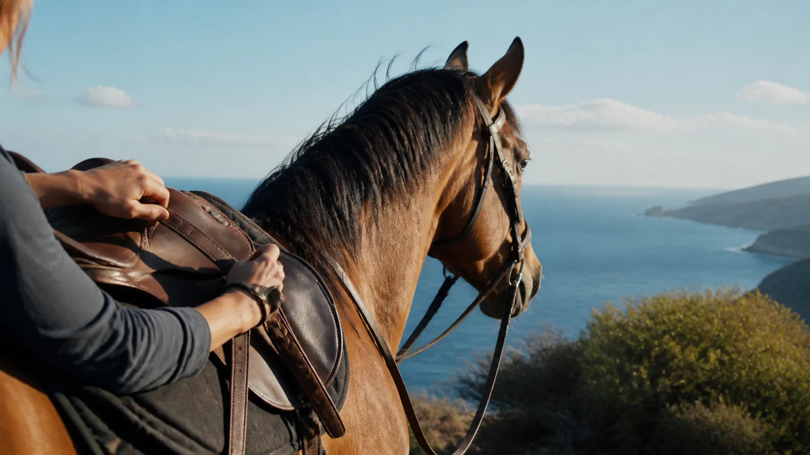 découvrez le tourisme équestre, une activité passionnante qui allie nature et équitation. explorez ses définitions, ses bienfaits et les expériences uniques qu'il offre aux amateurs de chevaux et de voyages. plongez dans cette aventure authentique au cœur des paysages pittoresques.