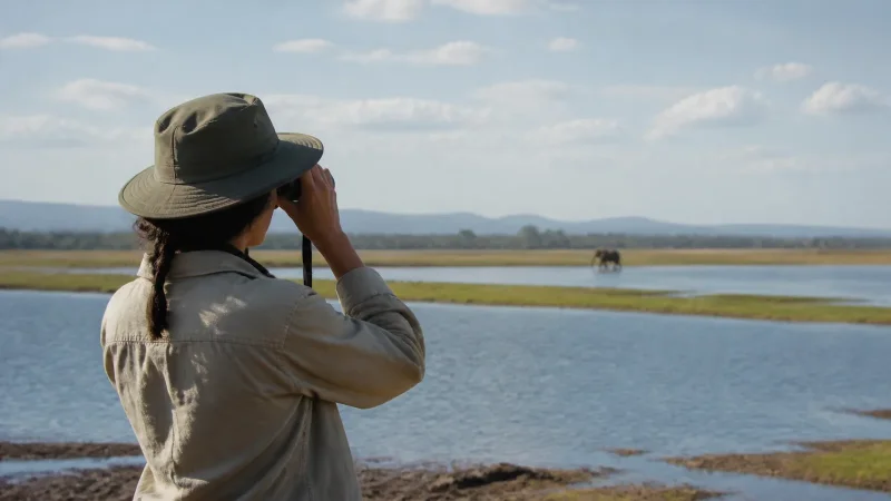 découvrez le tourisme animalier : une forme de voyage qui permet d'explorer la biodiversité et d'observer les animaux dans leur habitat naturel. comprenez sa définition, son impact sur la conservation et son rôle dans l'éducation à la protection des espèces.
